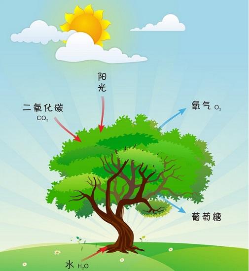 必读：2024年再生资源行业全景分析与投资热力图